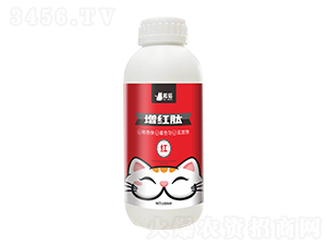 ���t��-��؈�r(n��ng)�I(y��)