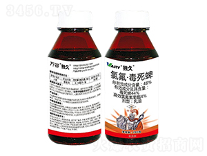 48%�ȷ���������-��(d��)��-�f��