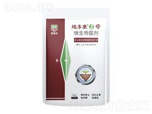 �����������A�ޏ�(f��)��-�ض࿵5̖(h��o)-���_(d��)