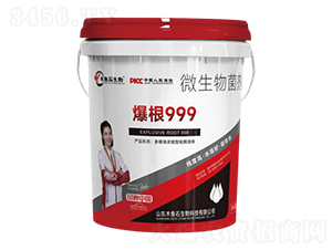 ����999-ľ�~ʯ