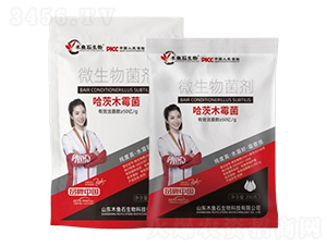 ����ľù��-ľ�~(y��)ʯ