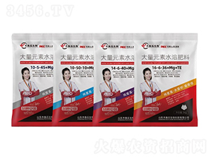 ����Ԫ��ˮ�ܷ�-ľ�~(y��)ʯ