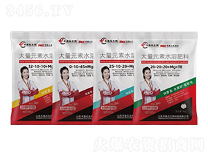 ����Ԫ��ˮ�ܷ���-ľ�~(y��)ʯ