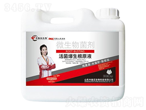 ���������ԭҺ-ľ�~(y��)ʯ