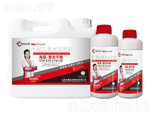 ���塤�ۺ�ƽ��170-170-170+TE-ľ�~ʯ