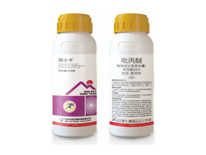 10%�����ёҸ���-�\С��-�|�h(yu��n)����