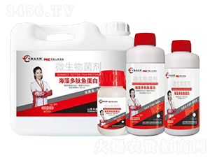 ��������~(y��)����-ľ�~(y��)ʯ