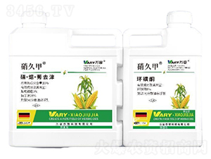 33%��������ݬȥ��+8%�h(hu��n)��ͪ-���ü�-�f(w��n)��