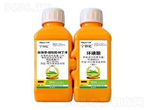 31%���ǲݡ�����¡���ض���+8%�h(hu��n)��ͪ-���݃|-�f(w��n)��