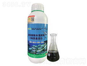 ø�⺣���~(y��)����-ܽ���