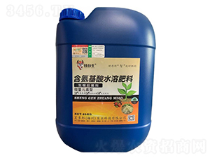 ��NA�������焩-ܽ���