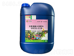 �������}�V���\�F�iͬ�a(b��)-ܽ���