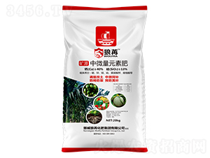 �VԴ��΢��Ԫ�ط�-����