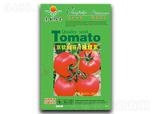 ���J�tϲF1�����-���ѷN��