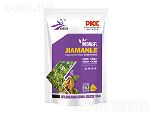 �v�M��(l��)-�����r(n��ng)�I(y��)