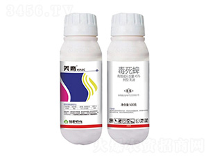 45%����������-����-�Ұ�r(n��ng)��