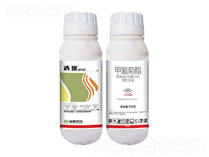 20%�����������-���-�Ұ�r(n��ng)��