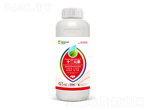 ʮ��Ԫ��-�Sِ��