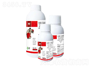 12%�x���桤ʭ����Ҹ���-����-���՘�