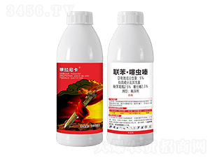 5%(li��n)�������x�-�S���Ῠ-�t̫�