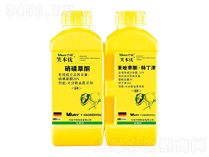 20%���ǲ�ͪ+33%�����ͪ���ض���-Ц����(y��u)-�f(w��n)��