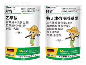 900�����Ҳݰ�+55%�ض��򡤮��f���ͪ-��ʡ-�f(w��n)��