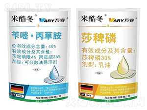 40%�S�ס����ݰ�-�׿ᶬ-�f��