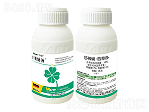 31%ɯ���ס����݃�250��-���-�f��