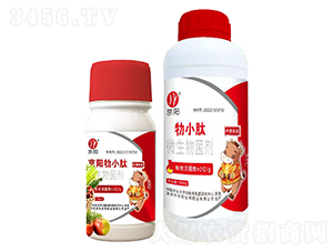 ��С��΢�������-���(y��ng)