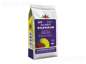 ΢�������-�ЙC(j��)���ĵ���ø-�����S-��������