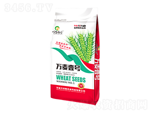 �f��Ҽ̖-�f�ҼZ�}-�f��(d��n)�Z