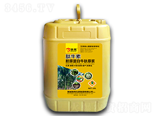 ��ţ��-����