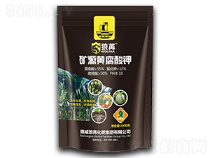 �VԴ�S�����-����