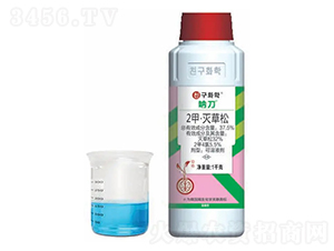 ˮ������݄���2�ס�����ɣ�-�ȵ�-�n�ѻ��W(xu��)