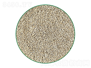 �������w��-�o�}��-�г�����