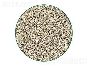 �������w��-�o����-�г�����