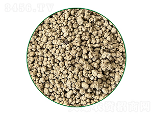 �������w��-20��-�г�����