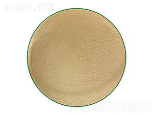 ��(f��)�ϰ������-75��-�г�����