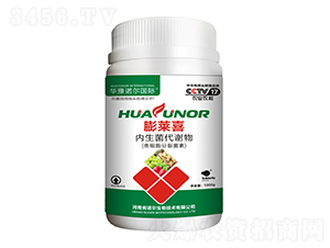 ���Rϲ1000g-�Z������