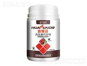 ���Rϲ-�Z������