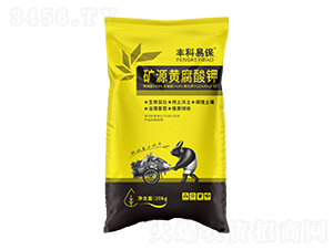 �VԴ�S�����-�S���ױ�-�۟o��