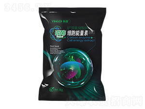 ̼ø����������-Ӣ��-��ɭԪ