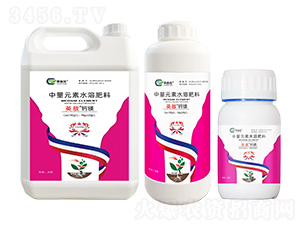 ����Ԫ��ˮ�ܷ���-Ӣ�����}�V-��ɭԪ