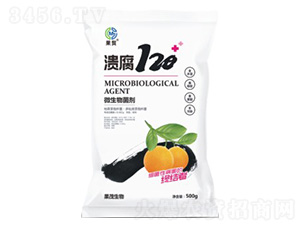 ����120-΢�������-��ï����