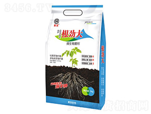 ���Ŵ�-΢�������-��ï����