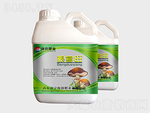 �������_ʩ��-�������