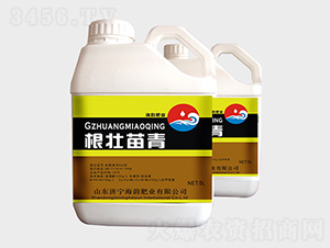 ���������_ʩ��-�������