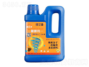 ΢�����Ǵ��}-�S����-�������