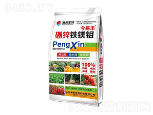 ���\�F�V�f-�����S-�������