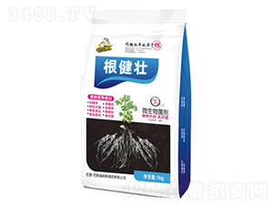 ������-΢�������-��˹��